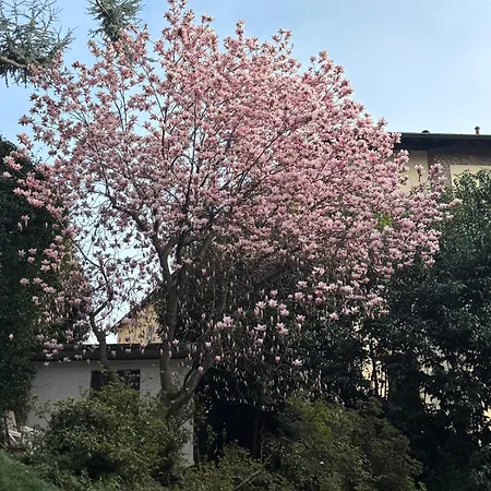 Miranda Luxury View Penthouse With Panoramic Terrace كومو