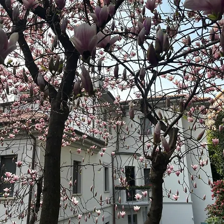 Miranda Luxury View Penthouse With Panoramic Terrace *