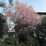 Miranda Luxury View Penthouse With Panoramic Terrace Como
